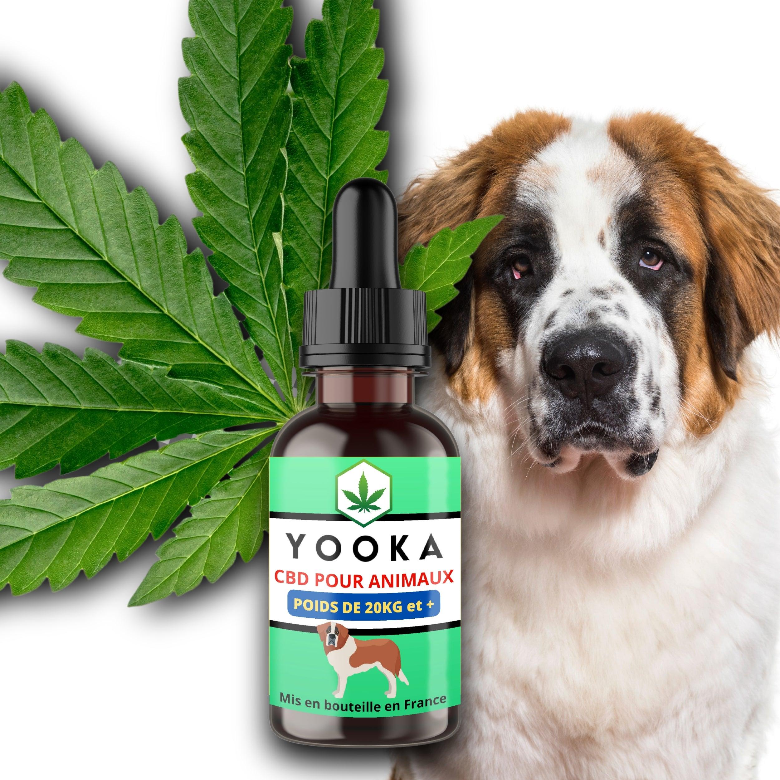 CBD ANIMAUX +20KG HUILE CBD GOUT NEUTRE FULL SPECTRUM - Yooka CBD