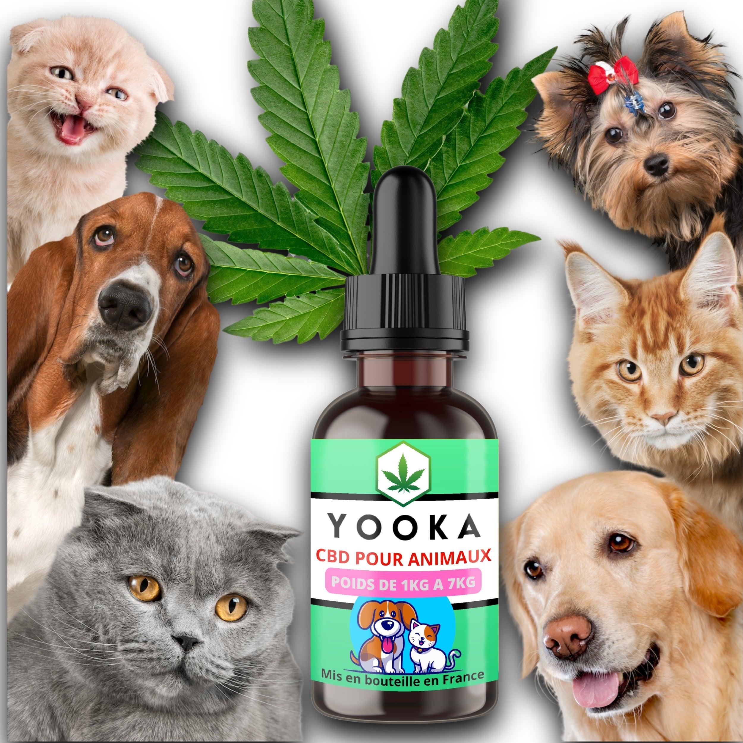 CBD ANIMAUX 1KG A 7KG HUILE CBD GOUT BACON FULL SPECTRUM - Yooka CBD