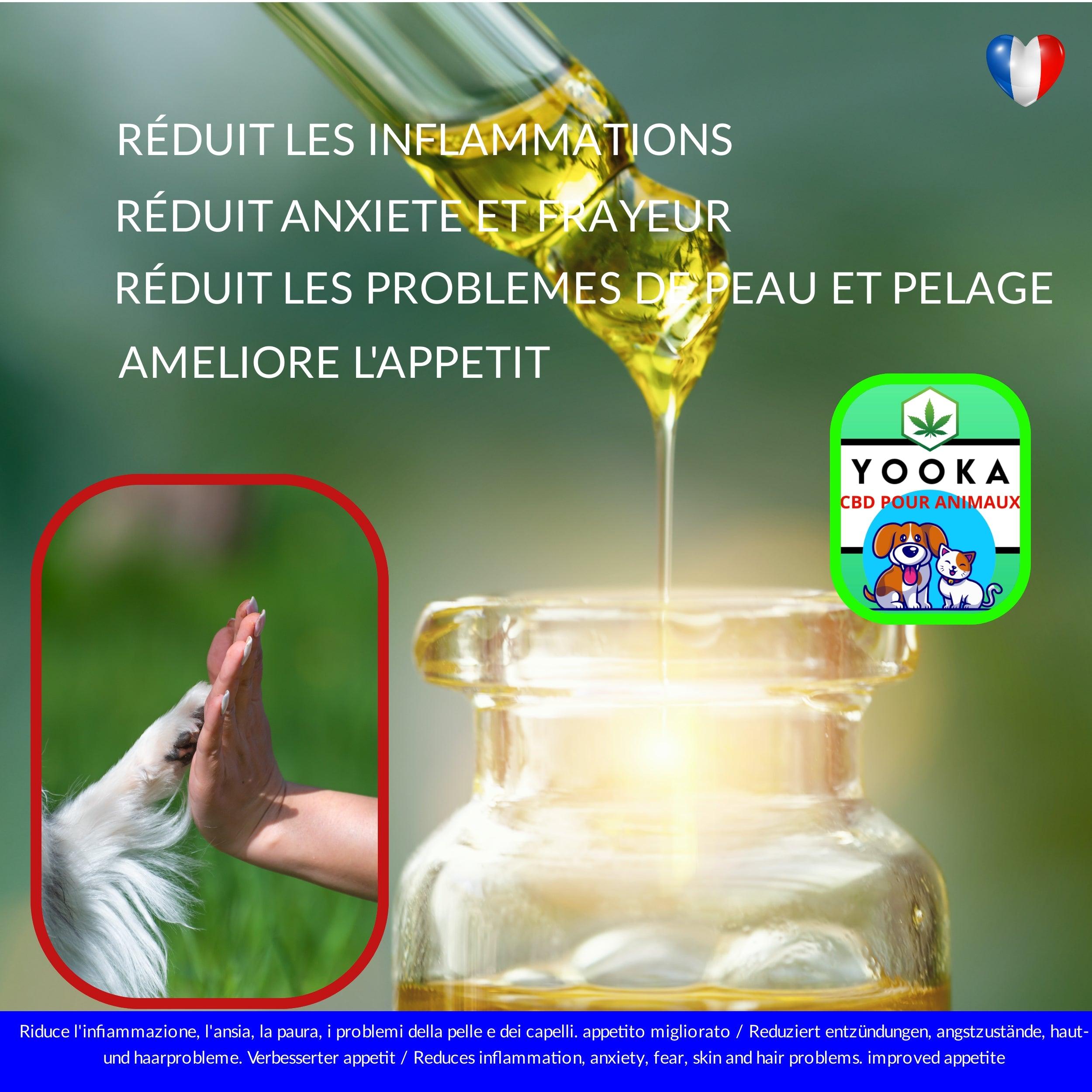 CBD ANIMAUX 1KG A 7KG HUILE CBD GOUT BACON FULL SPECTRUM - Yooka CBD