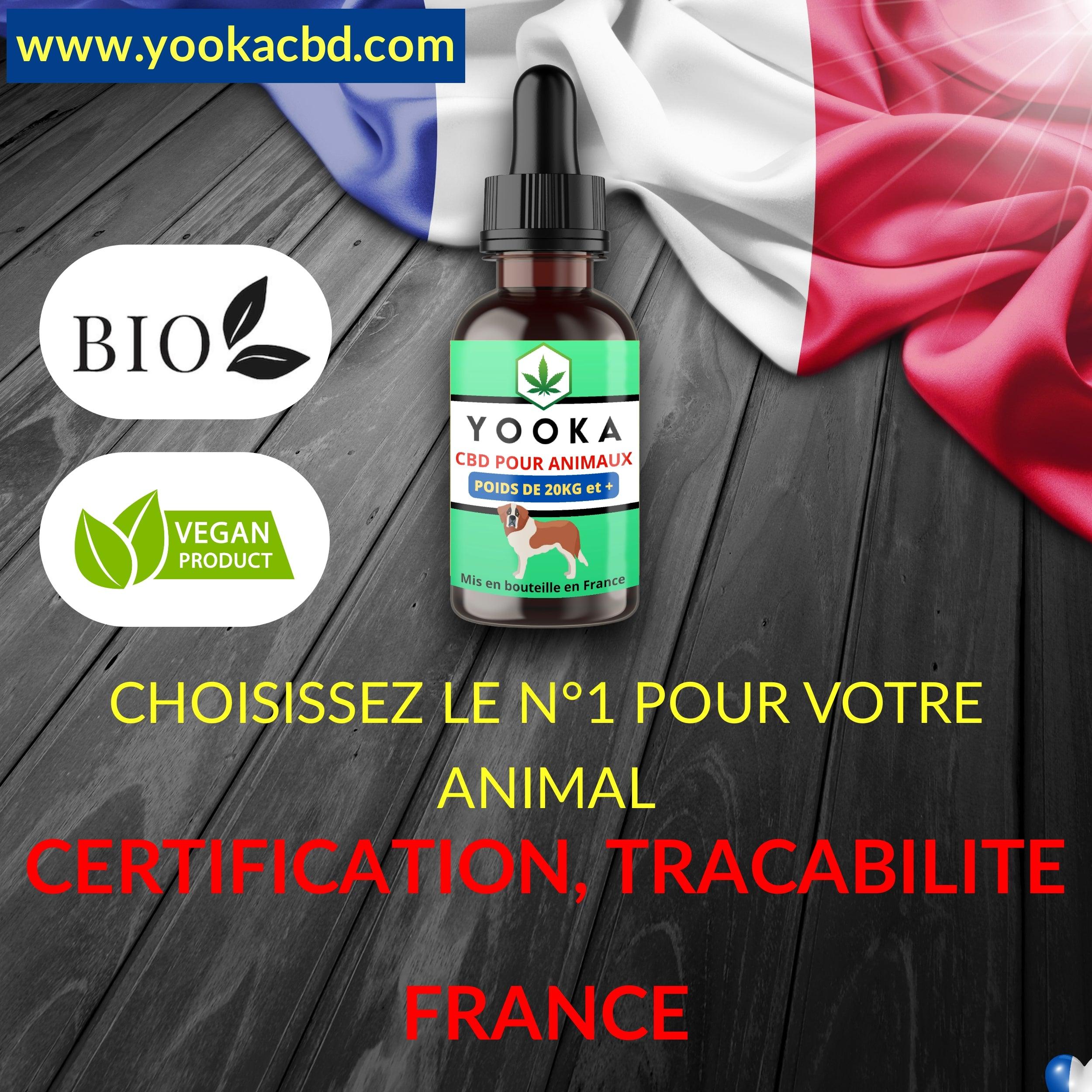 CBD ANIMAUX +20KG HUILE CBD GOUT NEUTRE FULL SPECTRUM - Yooka CBD