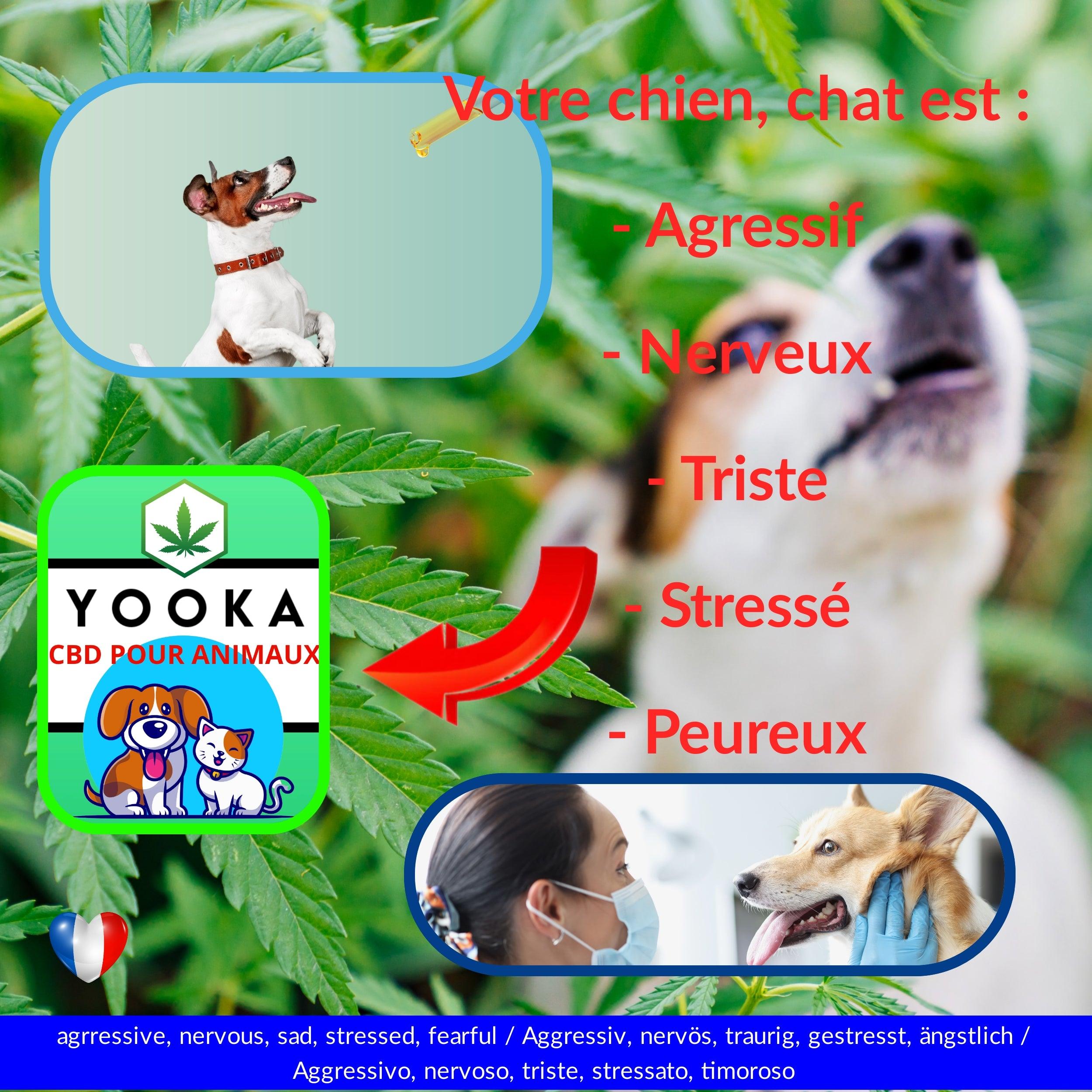 CBD ANIMAUX 1KG A 7KG HUILE CBD GOUT BACON FULL SPECTRUM - Yooka CBD