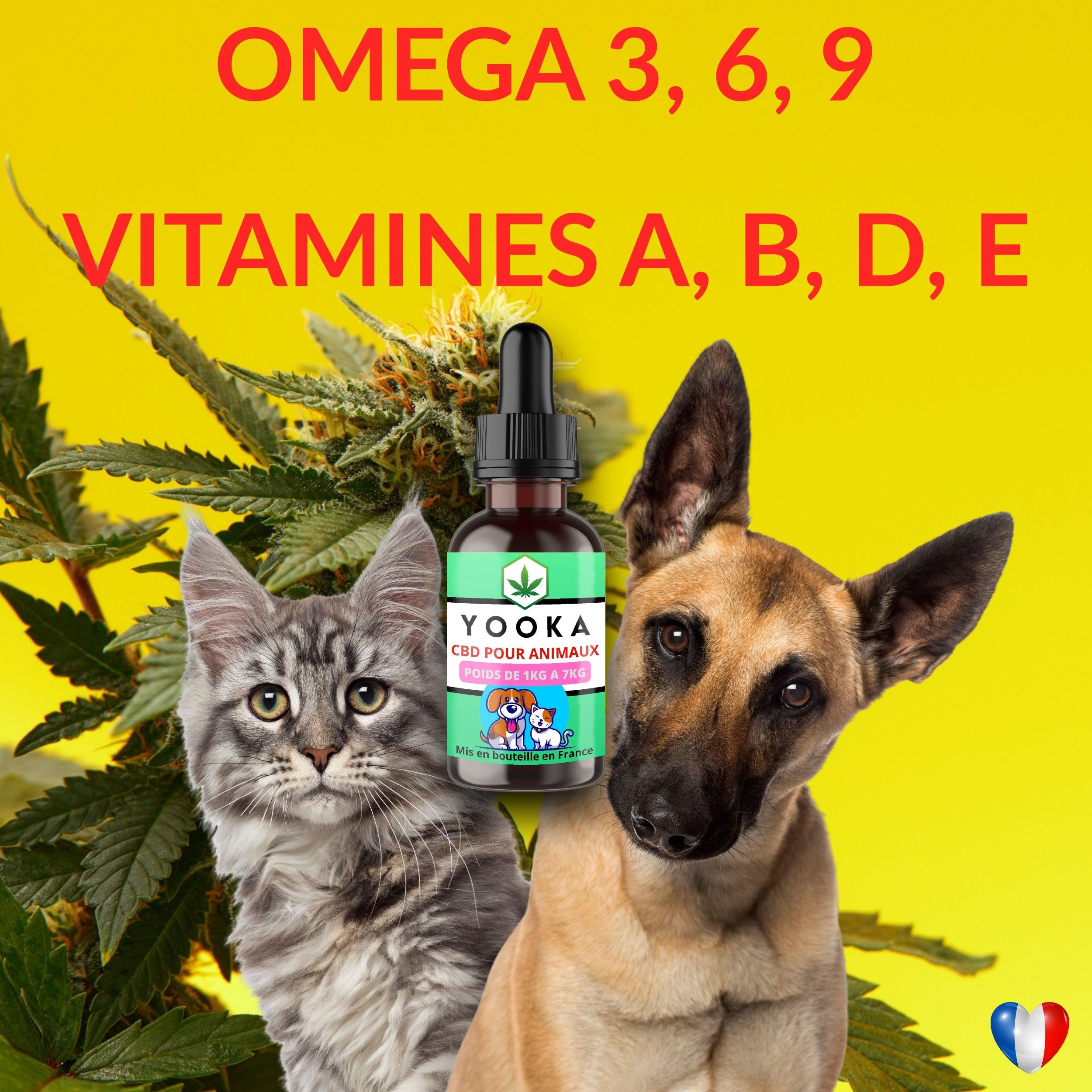 CBD ANIMAUX 1KG A 7KG HUILE CBD GOUT BACON FULL SPECTRUM - Yooka CBD