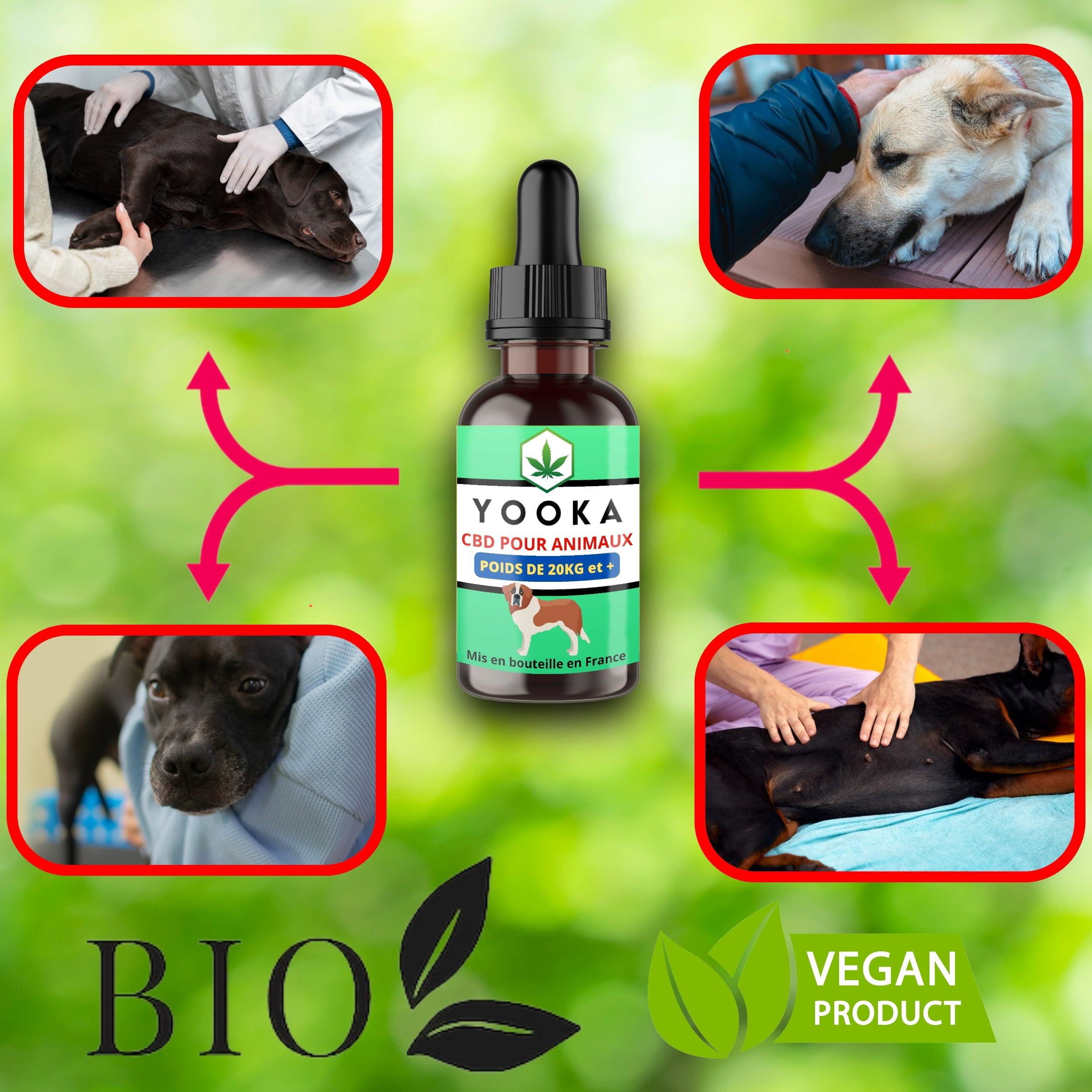 CBD ANIMAUX +20KG HUILE CBD GOUT NEUTRE FULL SPECTRUM - Yooka CBD