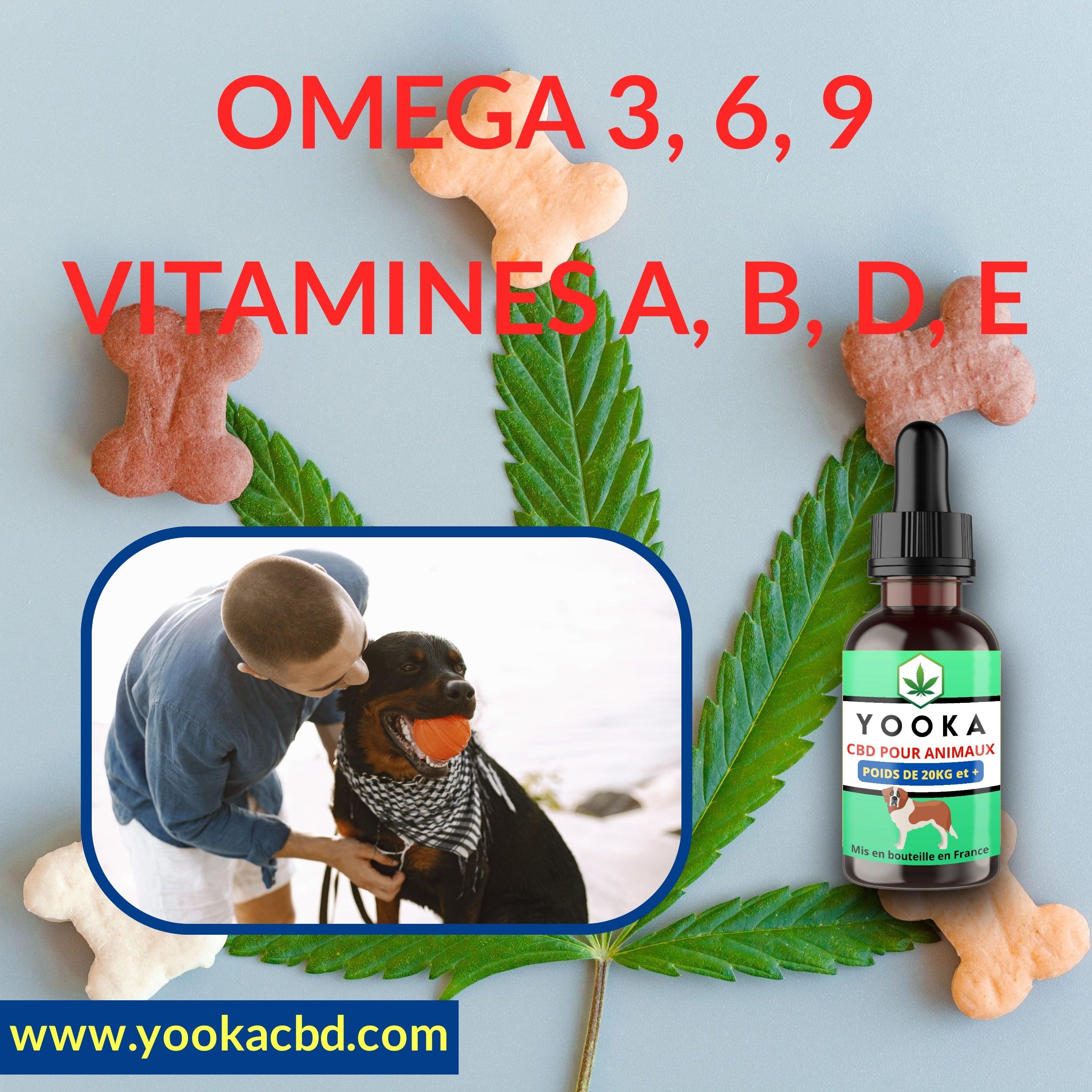 CBD ANIMAUX +20KG HUILE CBD GOUT NEUTRE FULL SPECTRUM - Yooka CBD