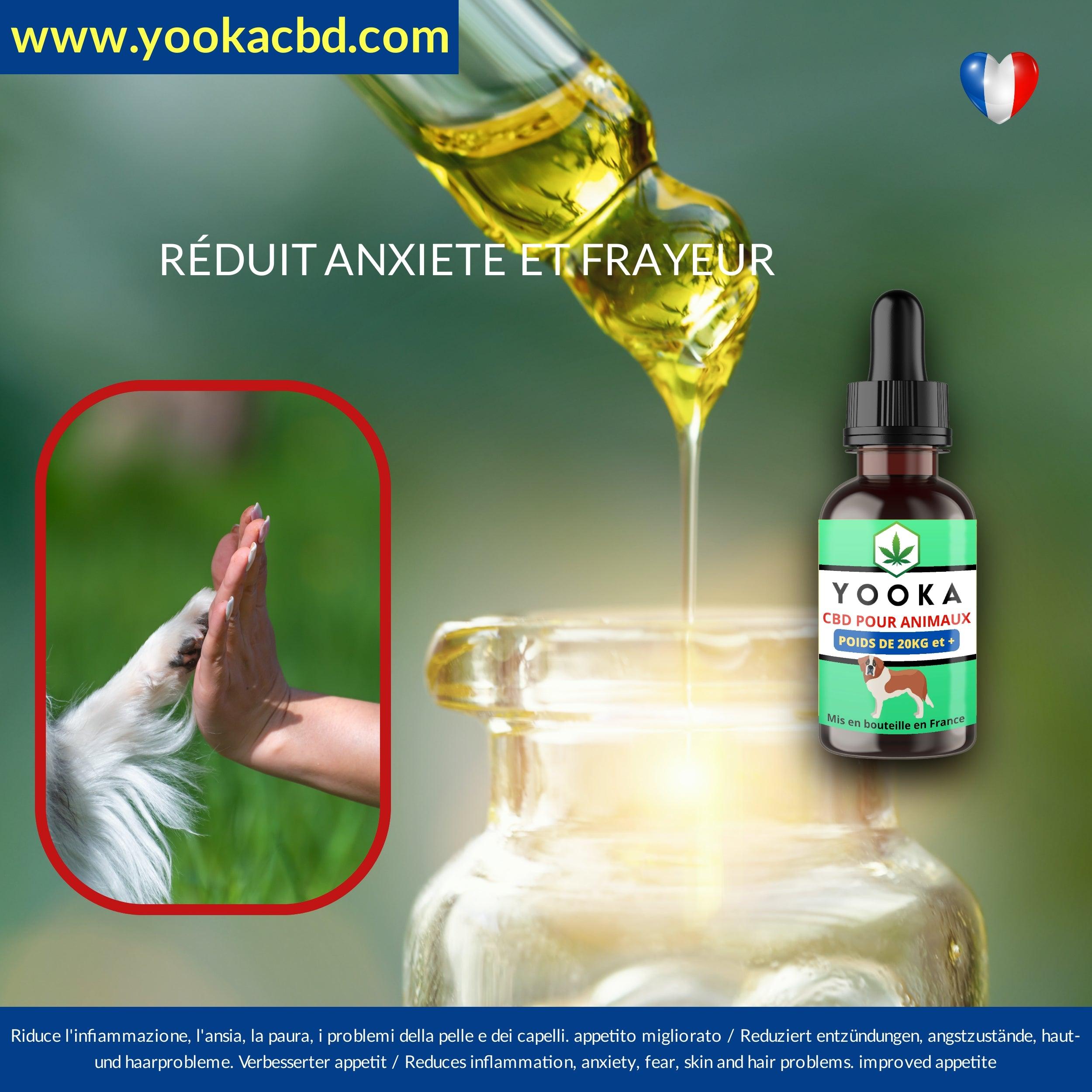 CBD ANIMAUX +20KG HUILE CBD GOUT NEUTRE FULL SPECTRUM - Yooka CBD
