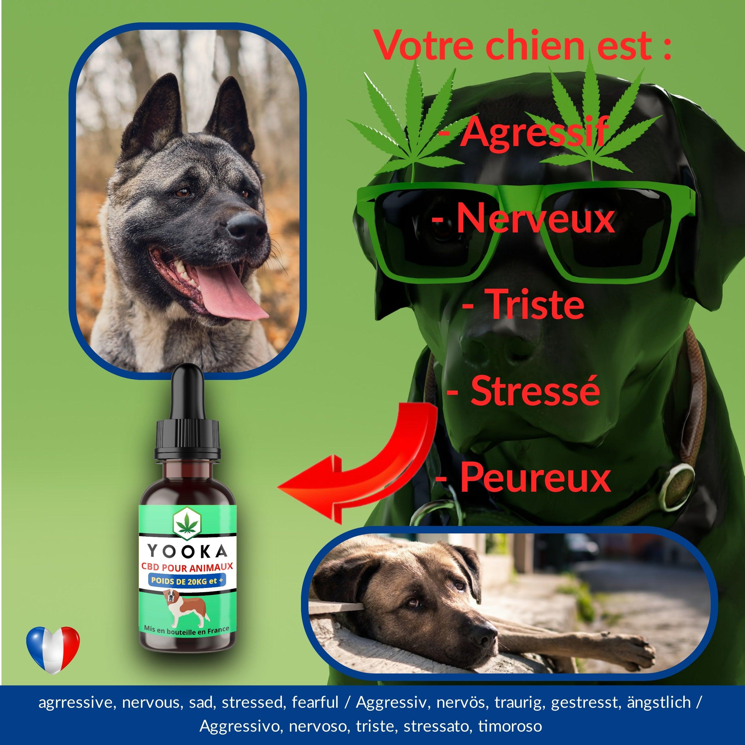 CBD ANIMAUX +20KG HUILE CBD GOUT NEUTRE FULL SPECTRUM - Yooka CBD