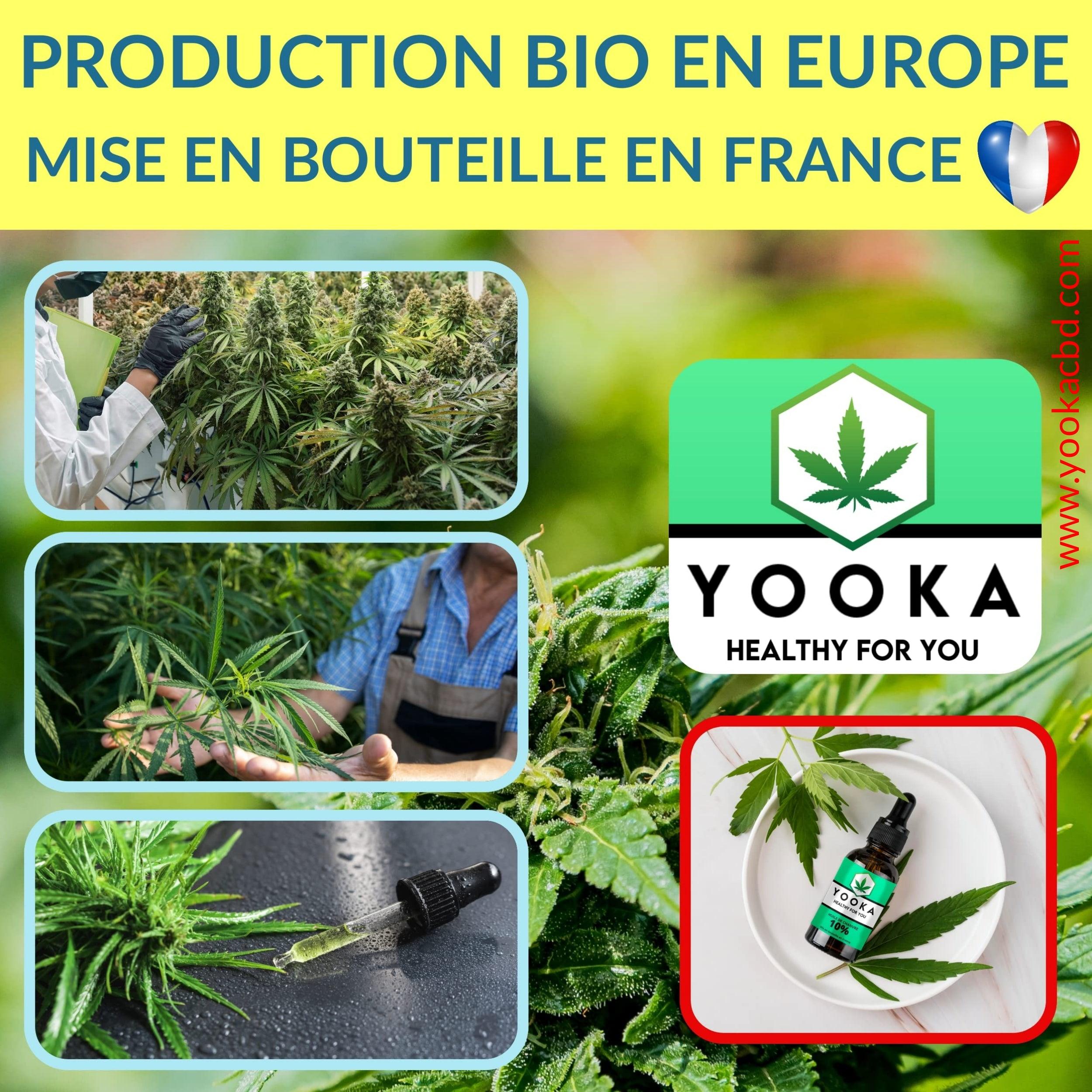 HUILE de CBD BIO 10% PREMIUM - Yooka CBD