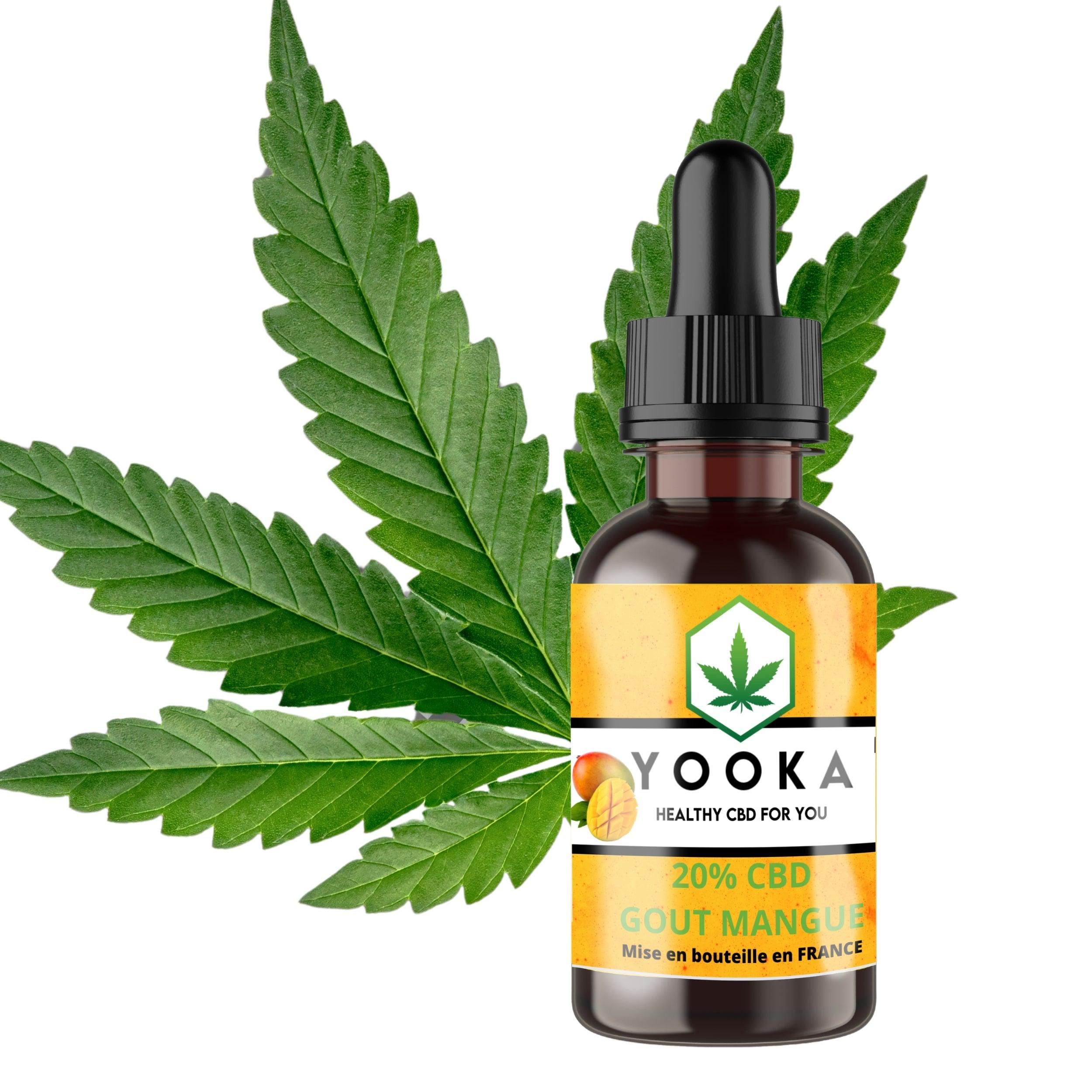 HUILE MANGUE CBD BIO MCT 20% FULL SPECTRUM - Yooka CBD