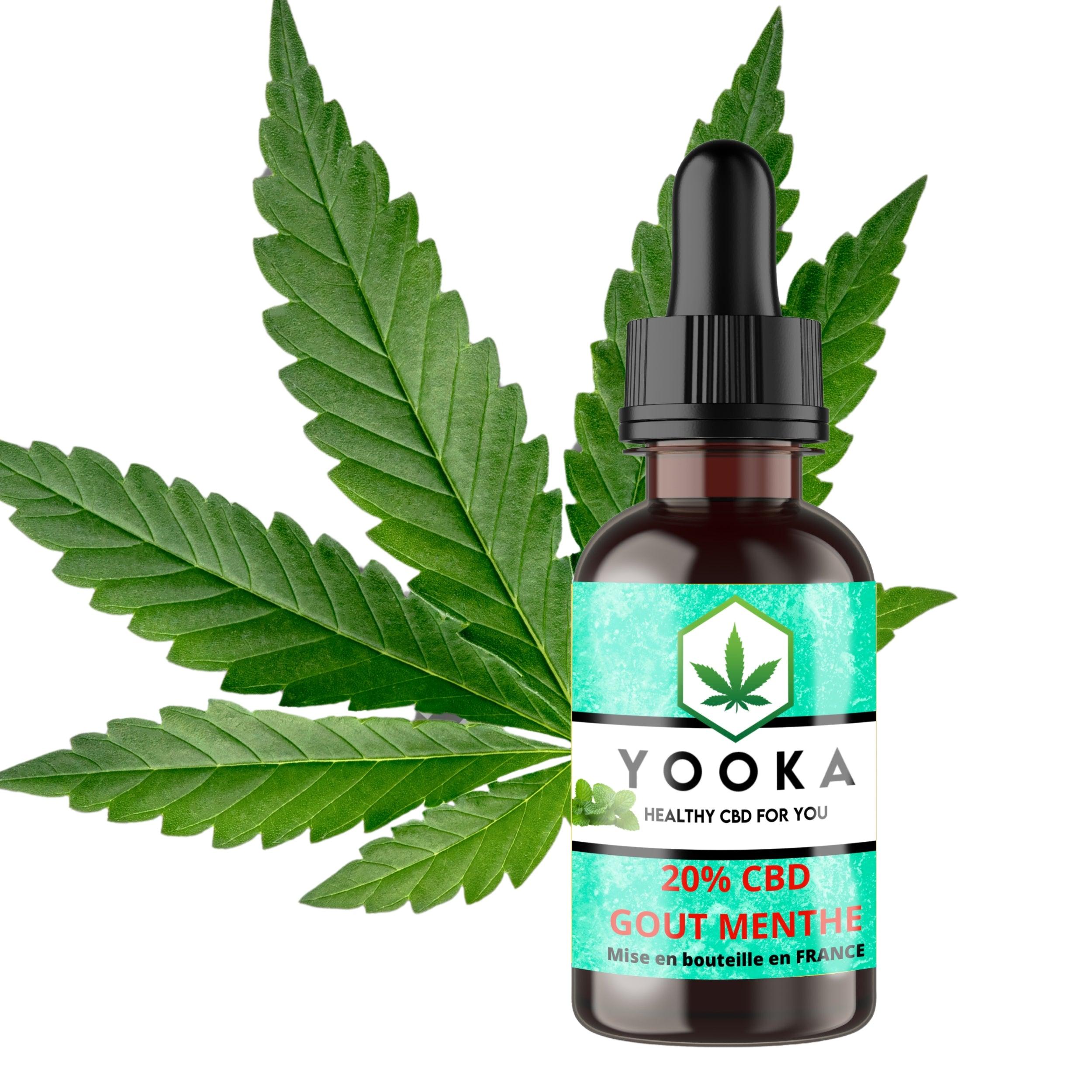 HUILE MENTHE CBD BIO MCT 20% FULL SPECTRUM - Yooka CBD