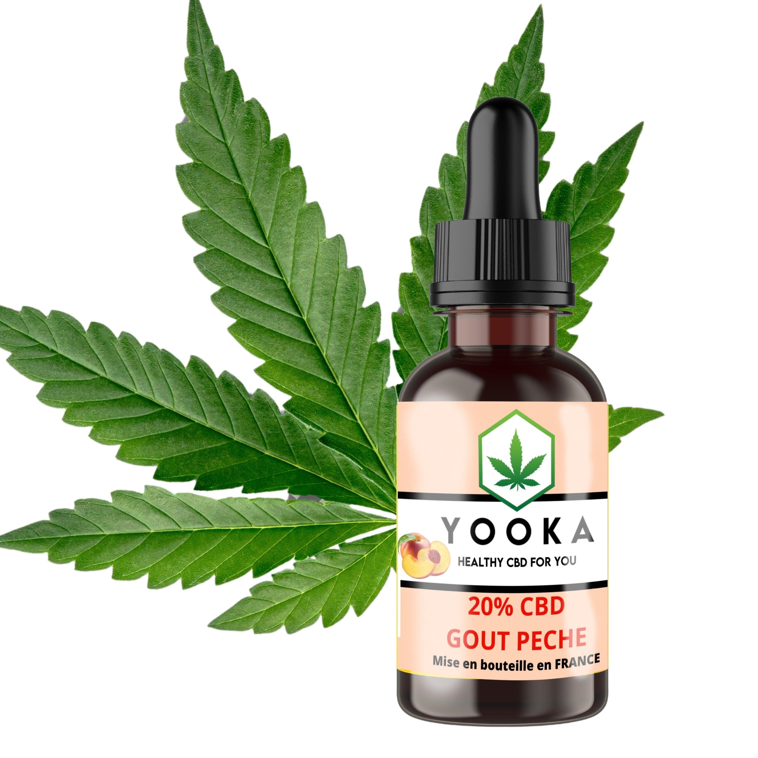 HUILE PECHE CBD BIO MCT 20% FULL SPECTRUM - Yooka CBD