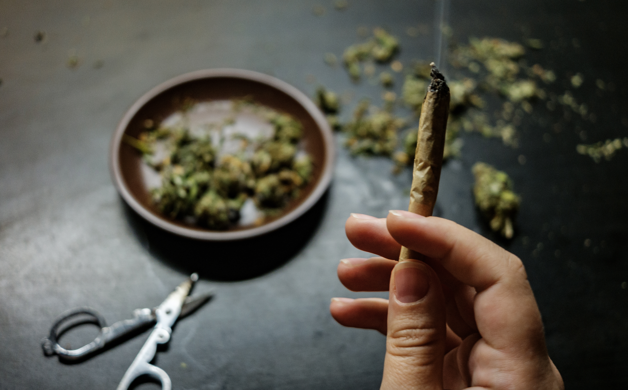 Pourquoi le CBD CSA est-il devenu si populaire en France ?