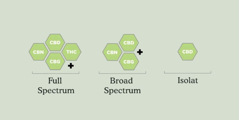 Shema expliquant les différents types de CBD
