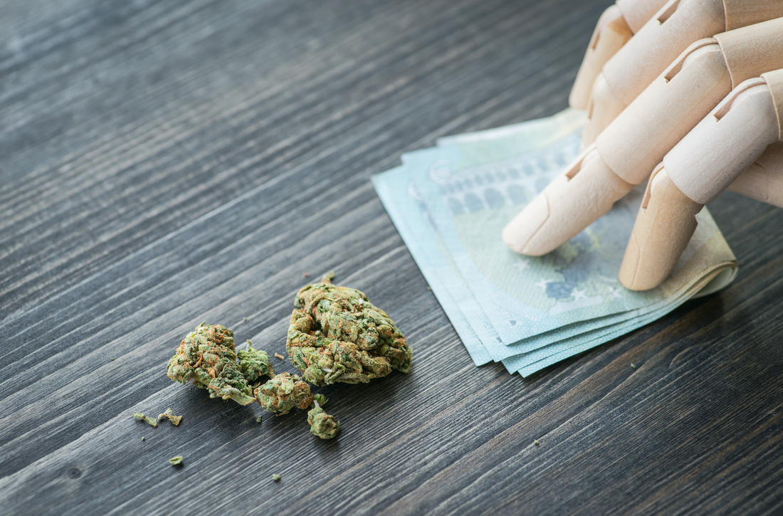 YOOKACBD.COM SUR CETTE PHOTO ON EUT VOIR UNE MAIN TENANT UNE LIASSE DE BILLETS DE 20 EUROS ET DES FLEURS DE CBD