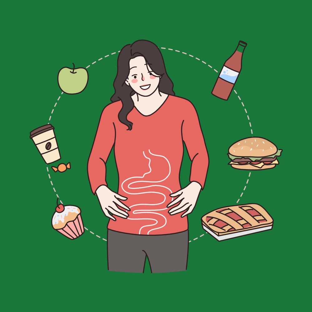 Illustration montrant les effets positifs du CBD sur la digestion