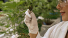 HUILE de CBD BIO 10% PREMIUM - Yooka CBD