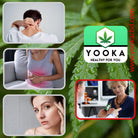 HUILE de CBD BIO 10% PREMIUM - Yooka CBD