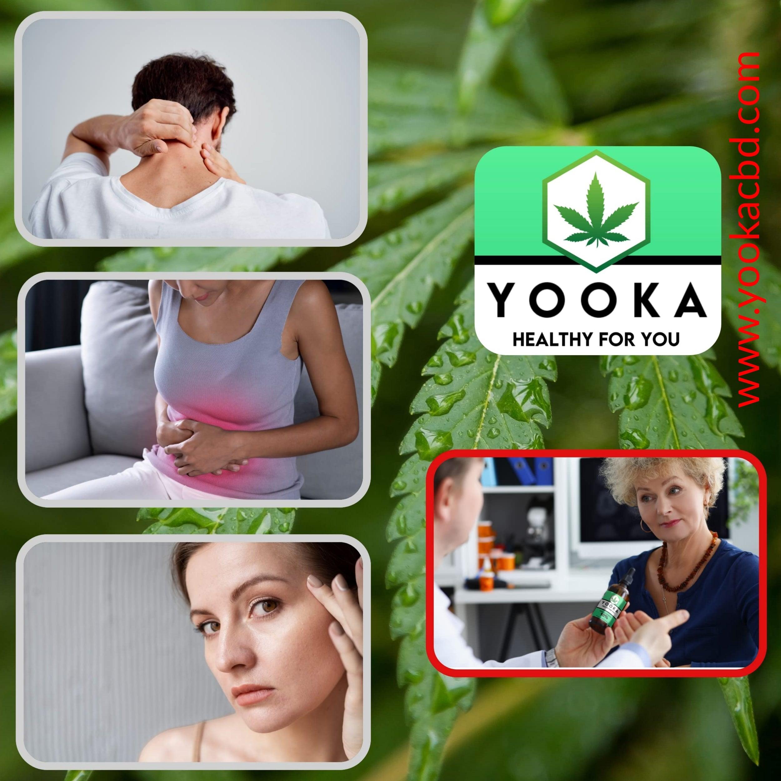 HUILE de CBD BIO 10% PREMIUM - Yooka CBD