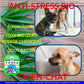yooka_yookacbd.com_huile_cbd_mct_bio_france_gamme_français_pas_cher_animaux_chien_stress_chat_lapin