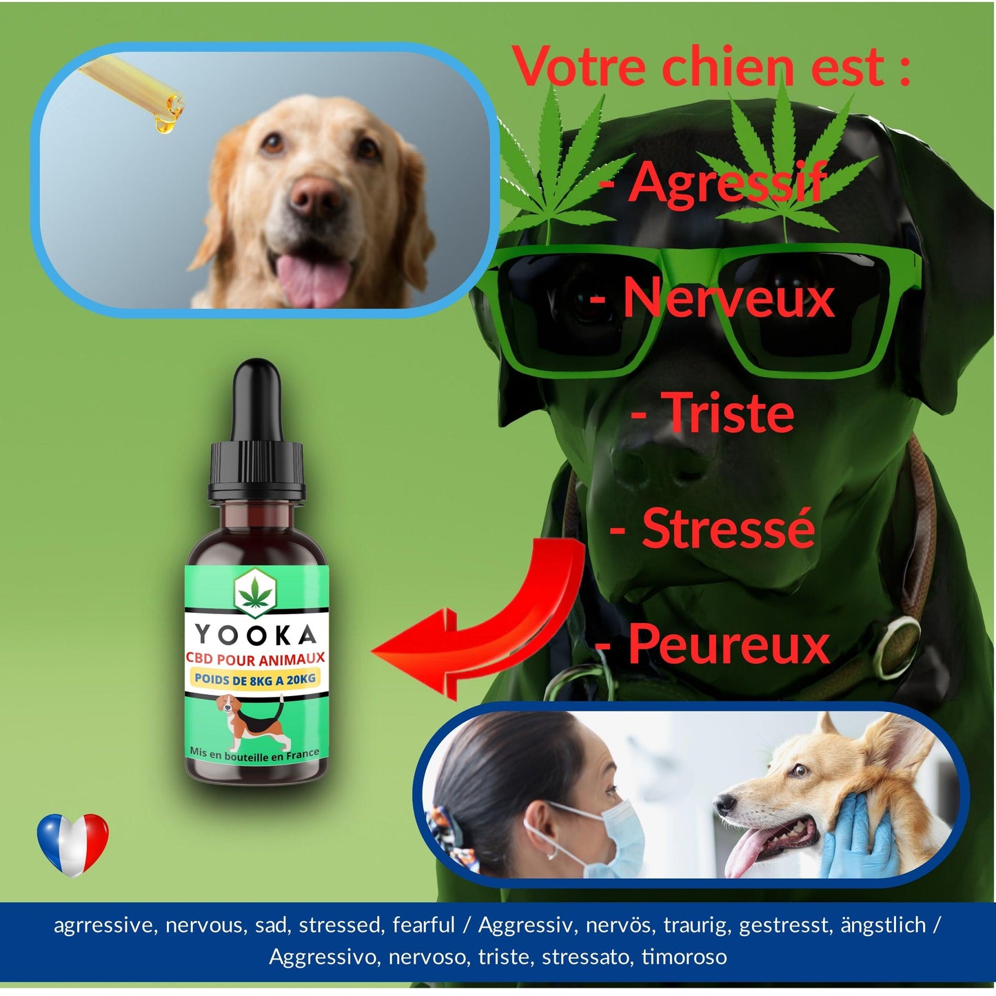 yooka_yookacbd.com_huile_cbd_mct_bio_france_gamme_français_pas_cher_animaux_chien_stress_chat_lapin_omega_anxiete_vegan_bacon_peureux